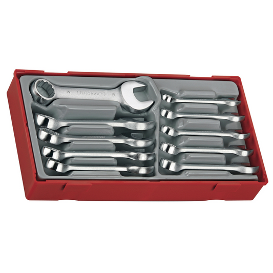 Teng Tools 10 Piece Metric Stubby Combination Wrench Set 10mm - 19mm - TT6010M