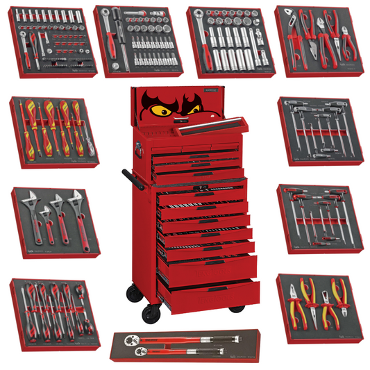 Teng Tools 249 Piece Mixed EVA Foam Hand Tool Kit - TCEMM249N